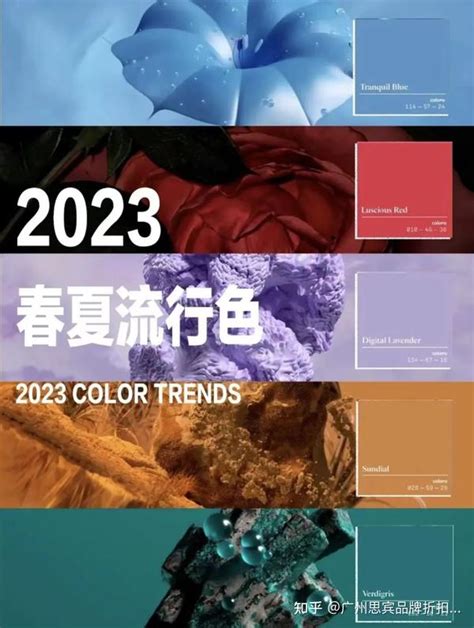 2023夏天顏色|色彩趋势 